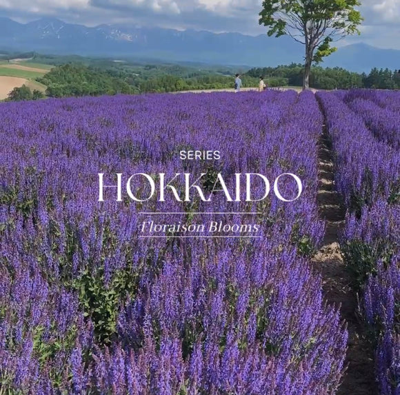 Hokkaido Series