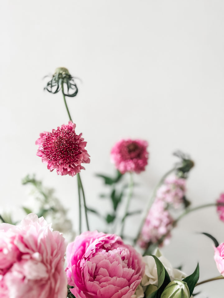 Peach and Peonies