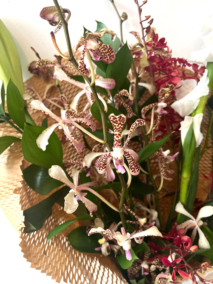 Orchid Garden (Fresh)