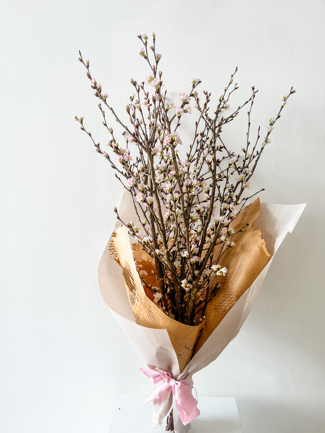 Sakura Cherry Blossoms (Fresh From Japan)
