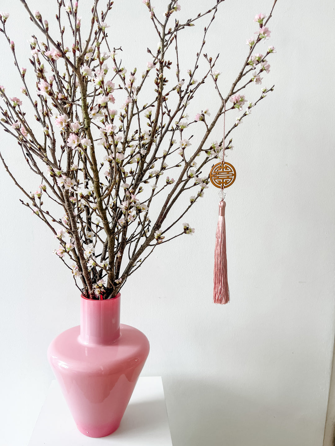 Sakura Cherry Blossoms (Fresh From Japan)