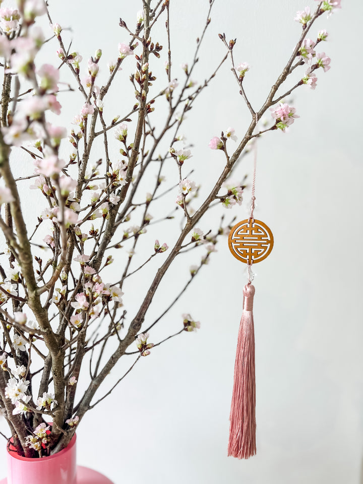 Sakura Cherry Blossoms (Fresh From Japan)