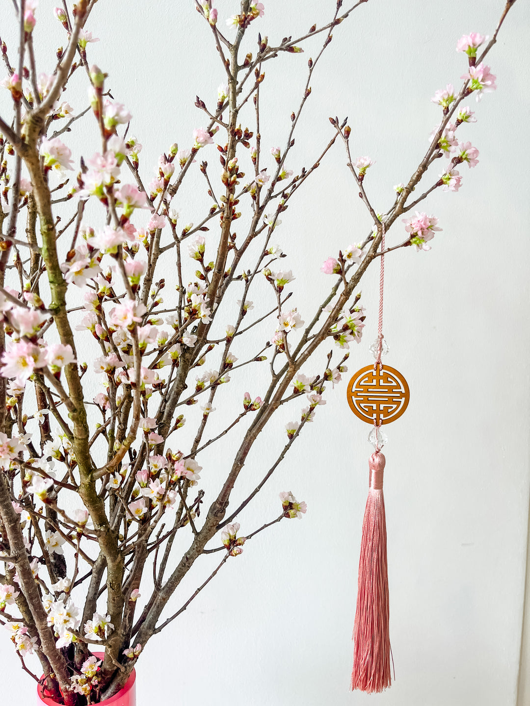 Sakura Cherry Blossoms (Fresh From Japan)