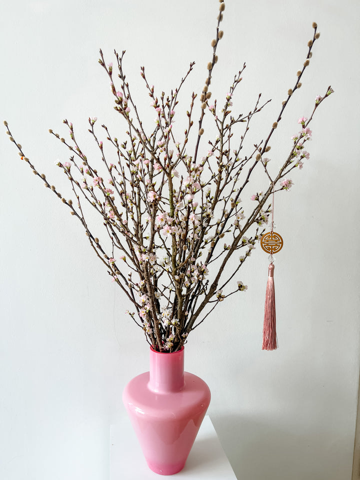 Sakura Cherry Blossoms (Fresh From Japan)