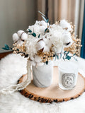 Cotton Dreams